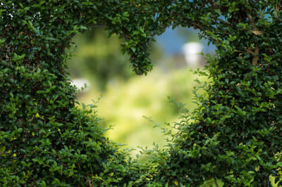 show-some-environment-love show-some-environment-love